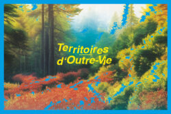 Moi, je dis souvent